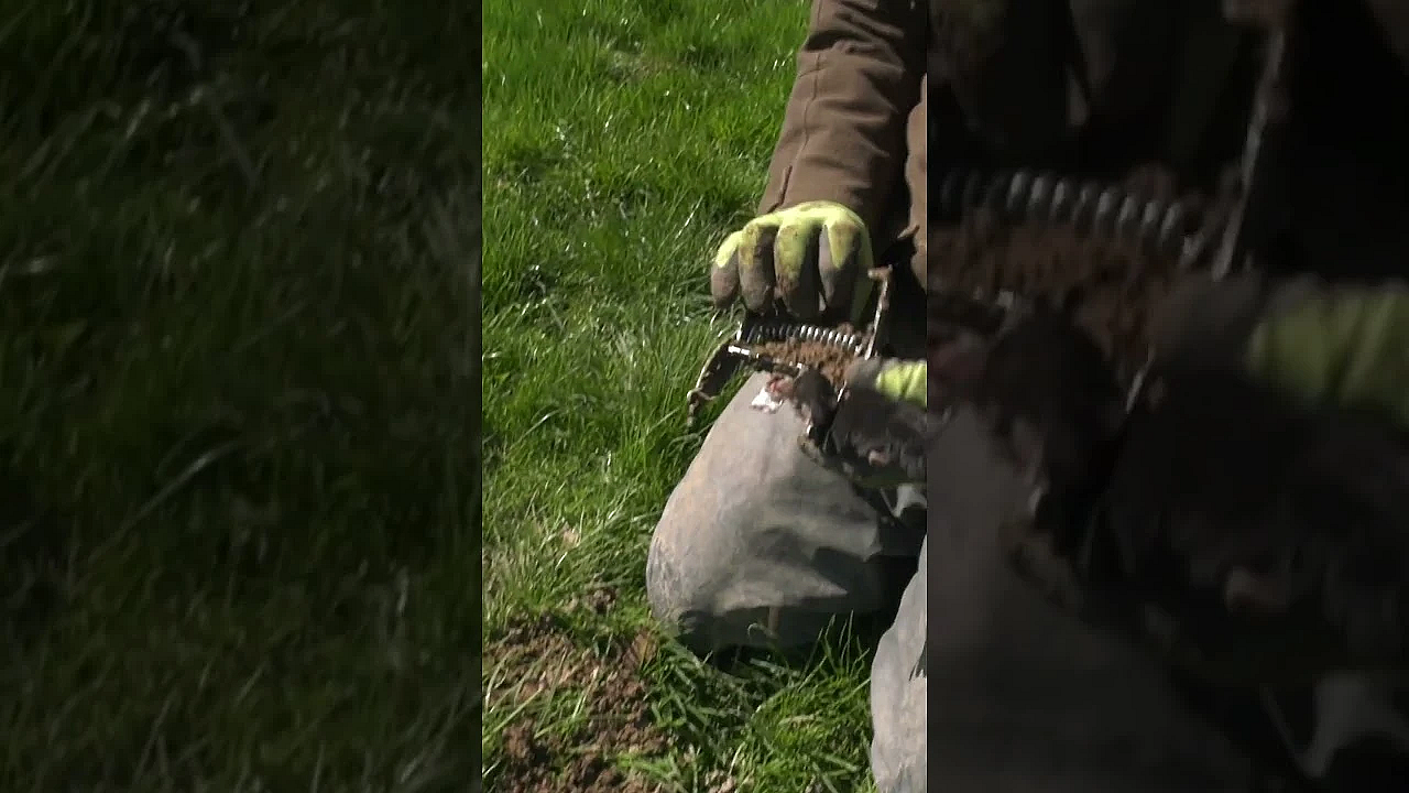 Tips And Tricks To Rid Your Garden Of Moles. Watch #fieldsportsbritain Now