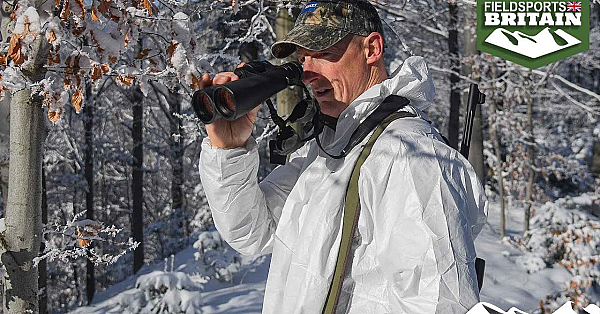 Hunting Huge Red Deer In The Snows Of Poland