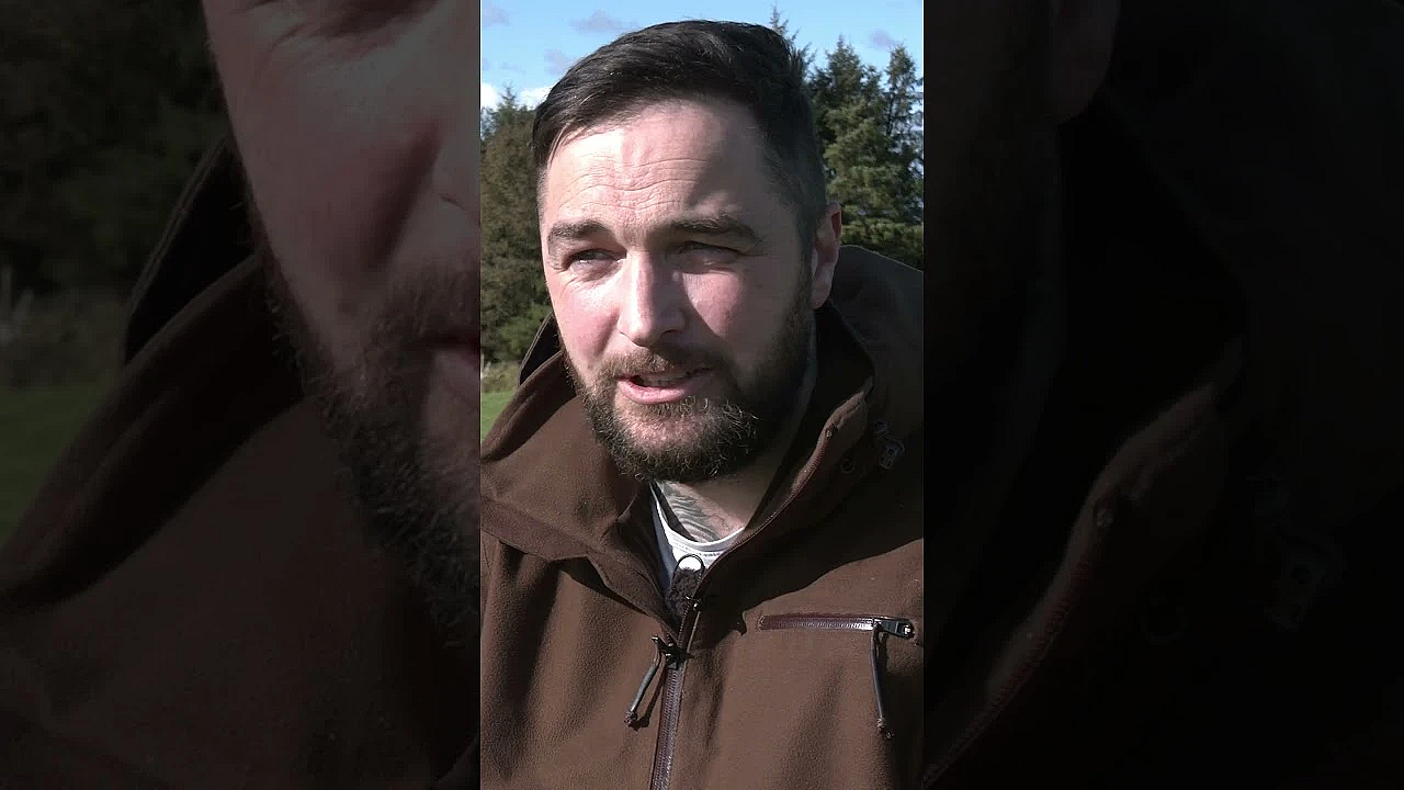 Hunting Rutting Stags In Ireland #fieldsportsbritain