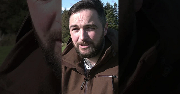 Hunting Rutting Stags In Ireland #fieldsportsbritain