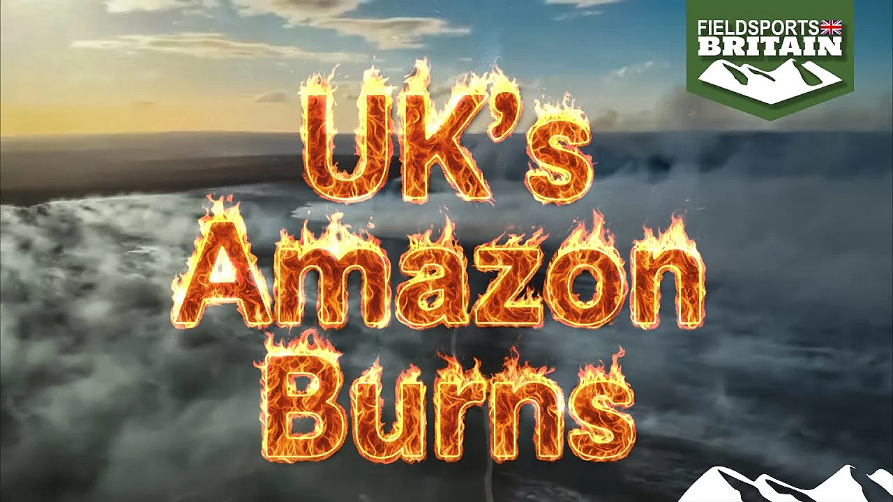 How The Uk’s Burning Ban Will Fuel A Wildfire Disaster