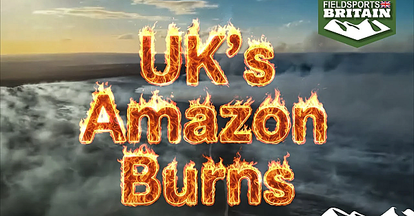 How The Uk’s Burning Ban Will Fuel A Wildfire Disaster