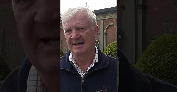 A Day Of Simulated #gameshooting At The Lovely Halston Hall Estate In Shropshire