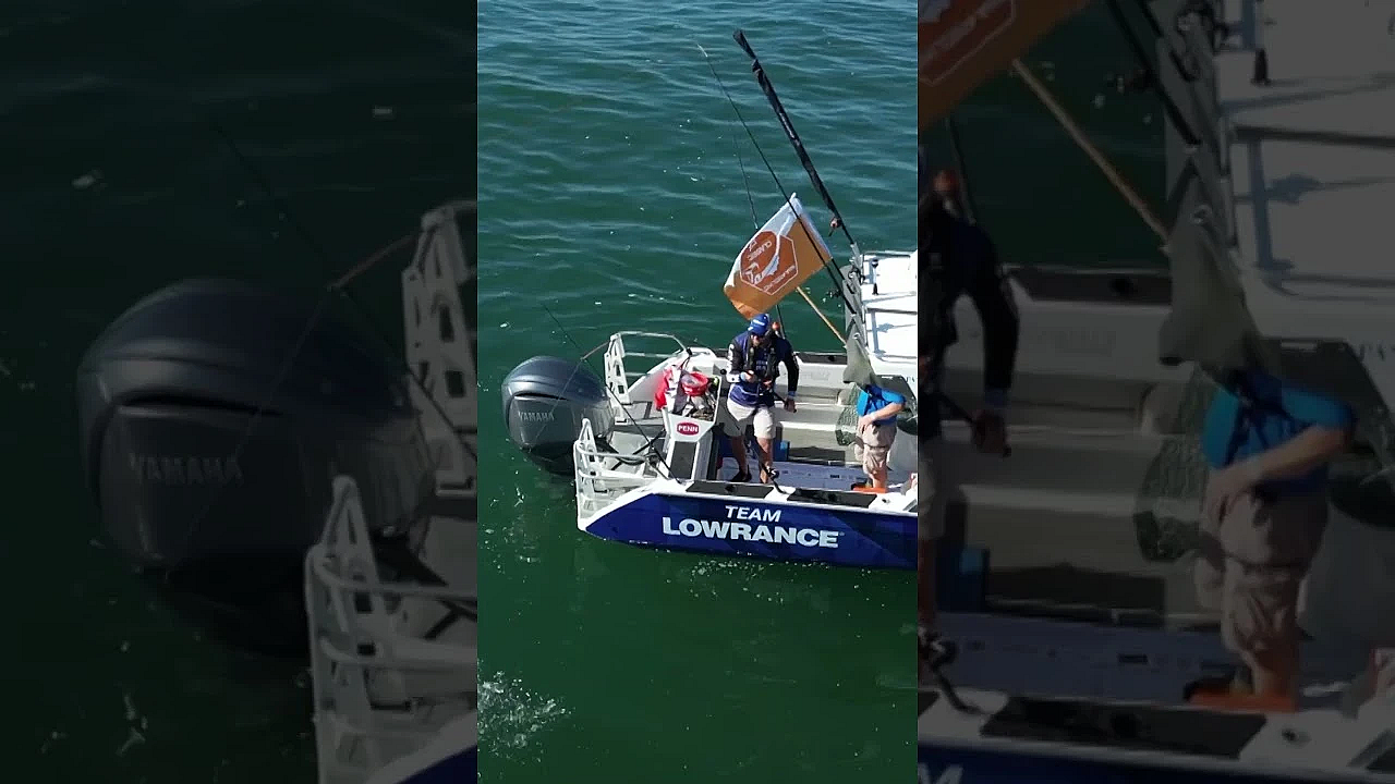 Sea Angling Classic 2024.  #fieldsportsbritain