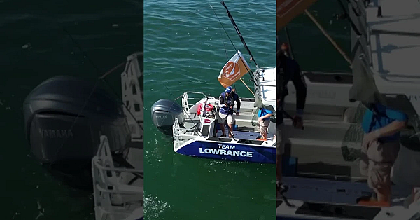 Sea Angling Classic 2024.  #fieldsportsbritain