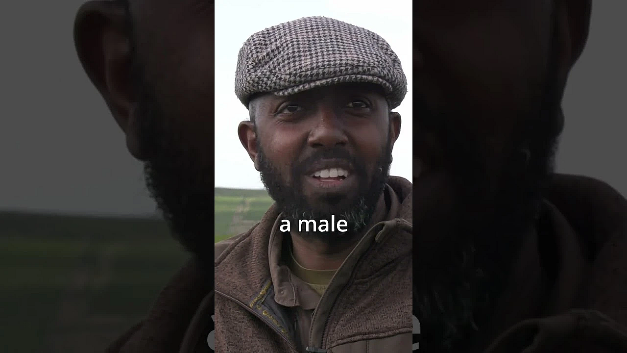 For Shooting Sports To Survive Do We Need More Female Shooters? #fieldsportsbritain