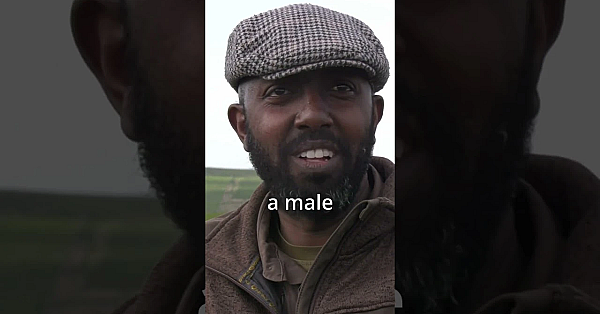 For Shooting Sports To Survive Do We Need More Female Shooters? #fieldsportsbritain