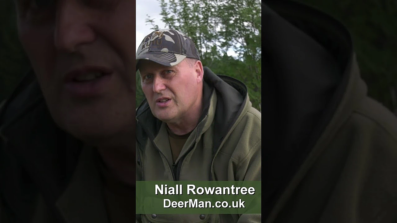 Niall Rowantree Explains The Changes That Are Underway For #deer Across #scotland.  #hunting