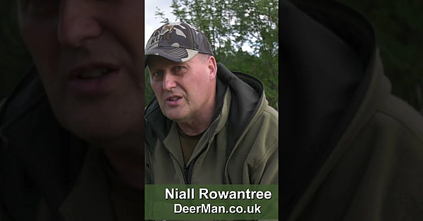 Niall Rowantree Explains The Changes That Are Underway For #deer Across #scotland.  #hunting