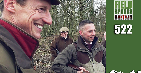 Fieldsports Britain - The Great British Pheasant