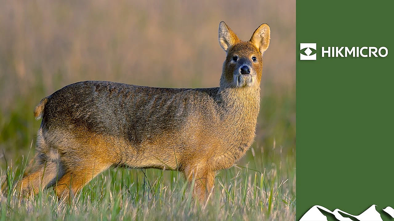 Vegan Hunts Christmas Lunch