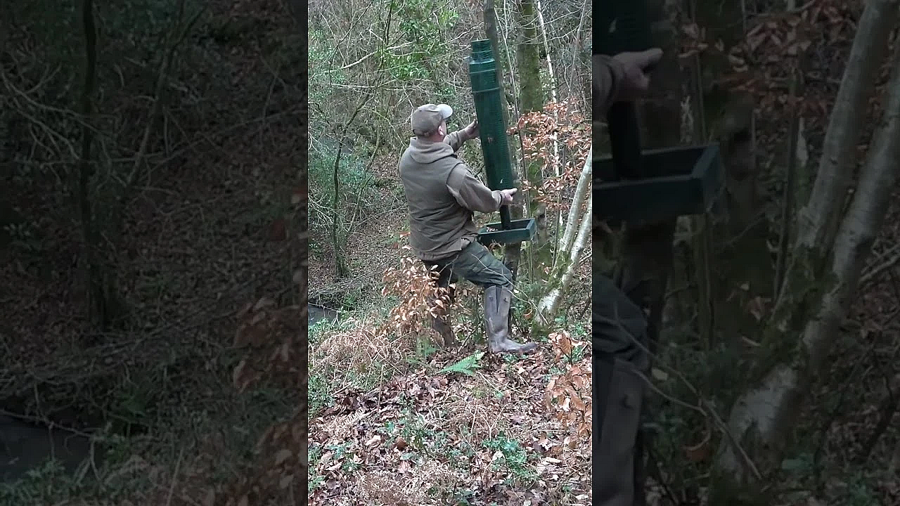 #squirrel Feeder That Holds 15kg Of Peanuts!  #wildanimal #fieldsportsbritain