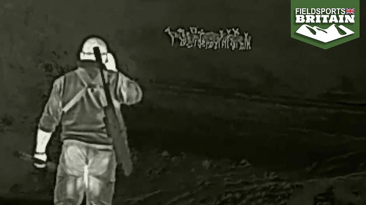 Nightshooting Fallow In Lincolnshire