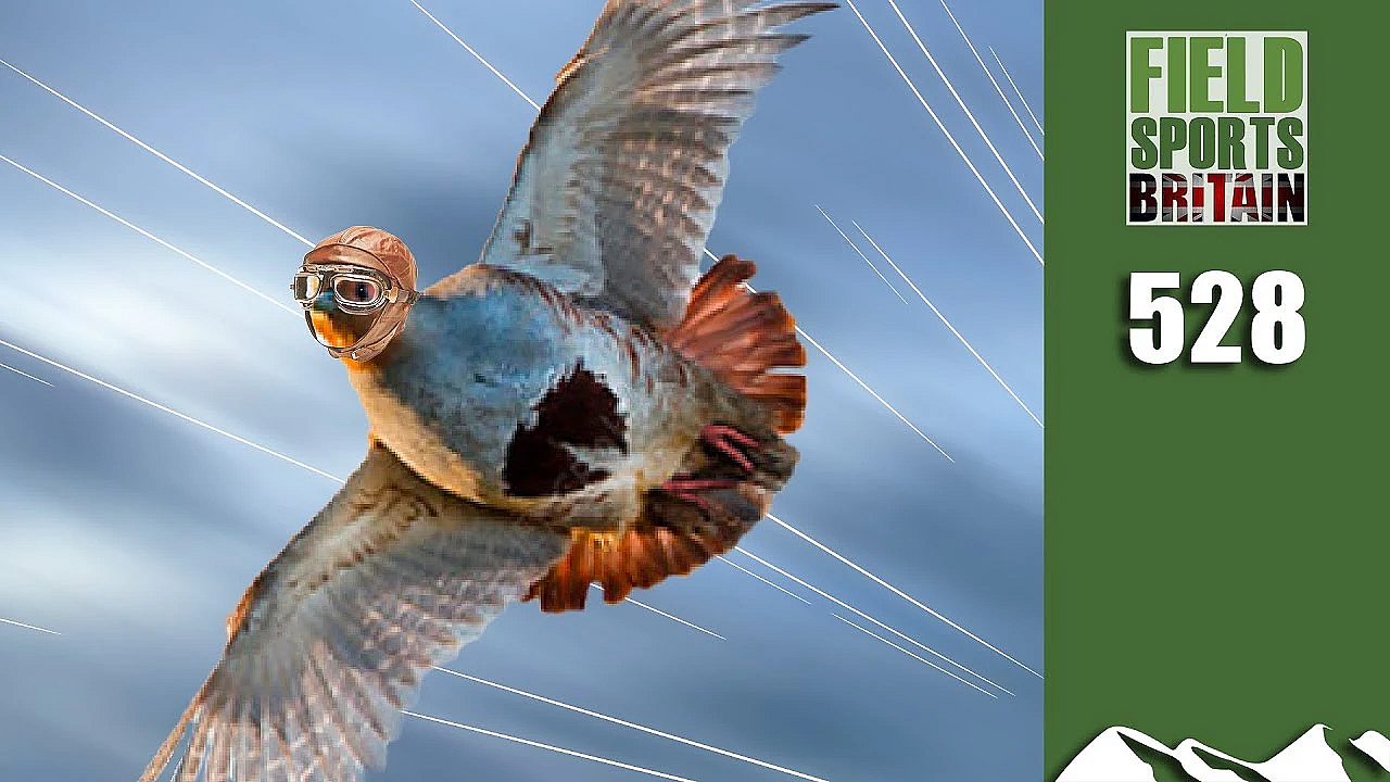 Fieldsports Britain - Super 20-bore Partridge Shoot