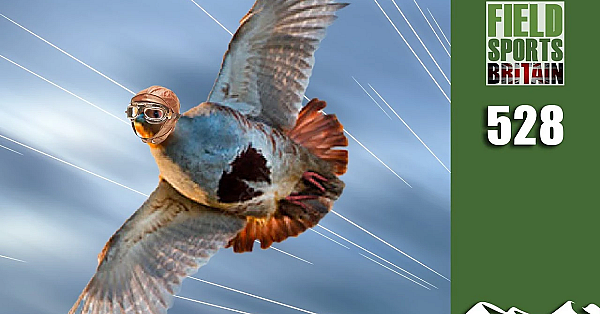 Fieldsports Britain - Super 20-bore Partridge Shoot