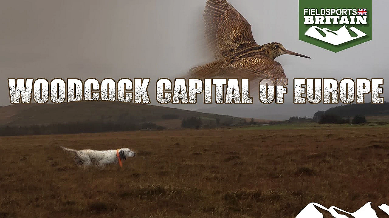 Woodcock Capital Of Europe