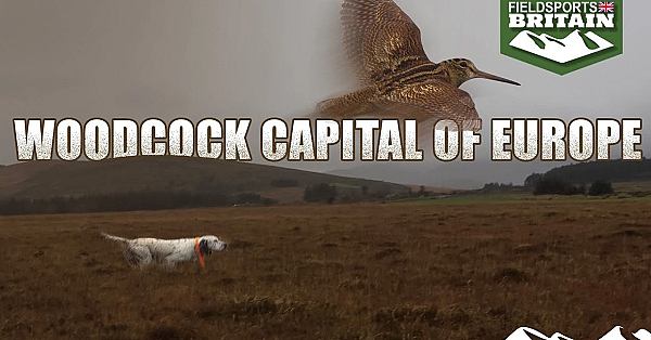 Woodcock Capital Of Europe