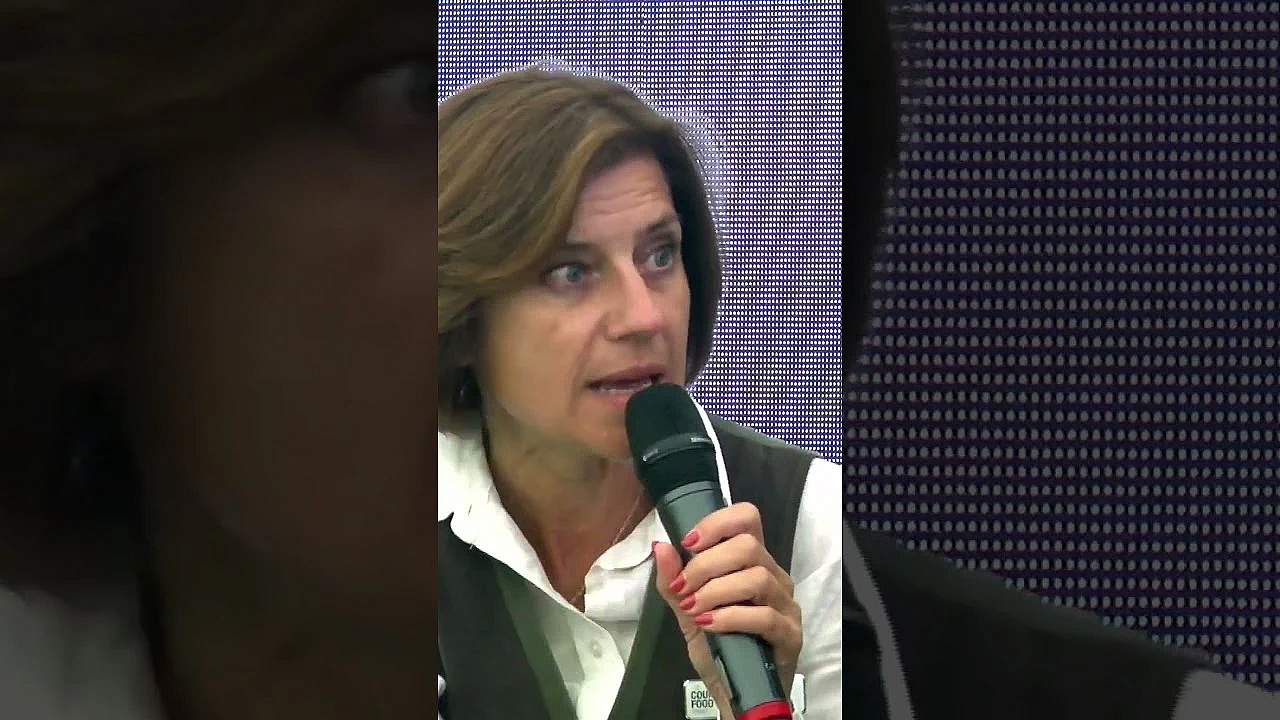 Rats Vs Jcb And Terriers