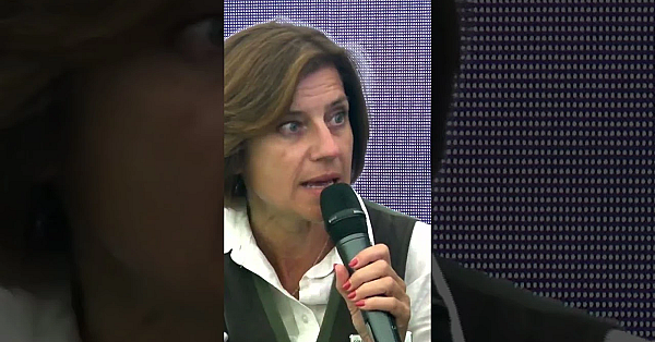 Rats Vs Jcb And Terriers