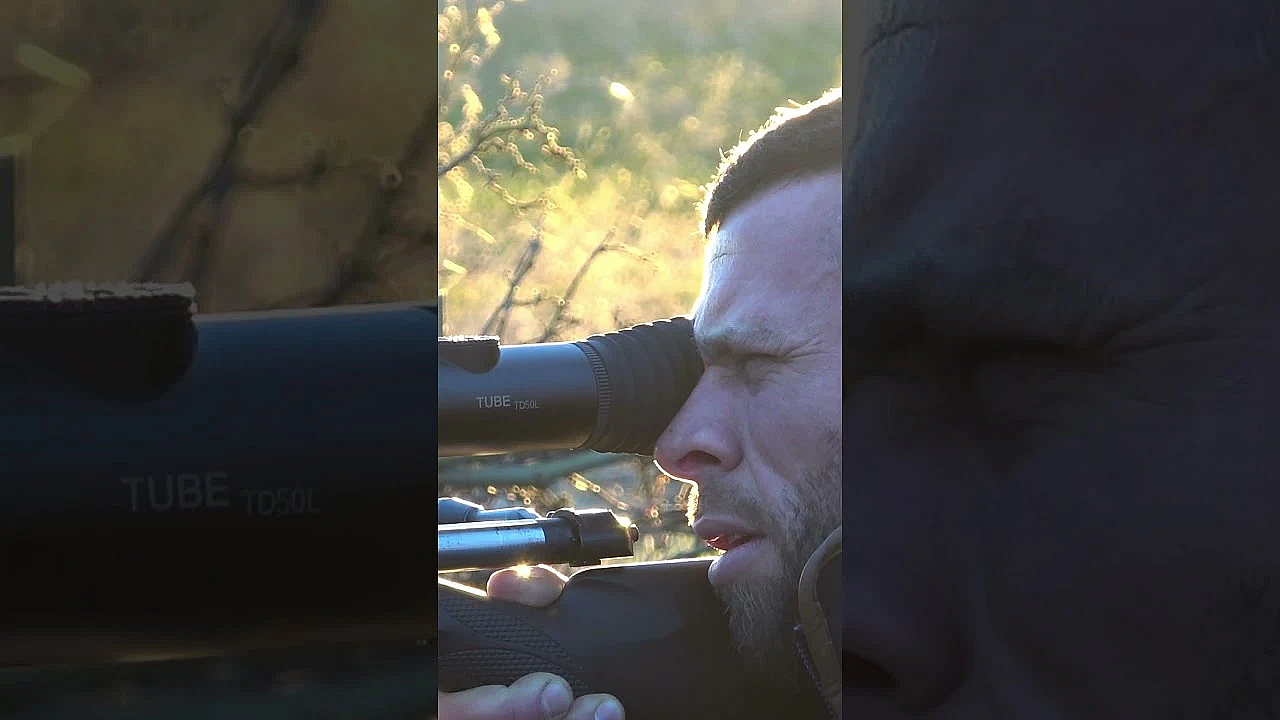 Night-shooting Exercise On A Herd Of Fallow #fallowdeer