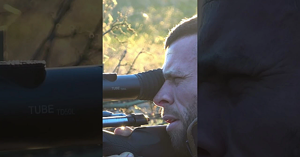 Night-shooting Exercise On A Herd Of Fallow #fallowdeer