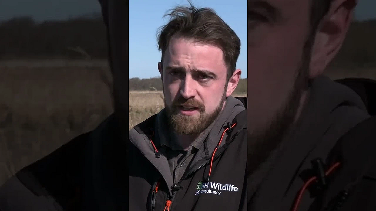 Too Late For Scotland’s Reds In This Week's #fieldsportsbritain