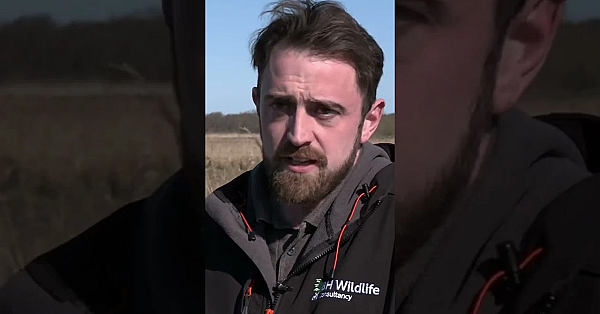 Too Late For Scotland’s Reds In This Week's #fieldsportsbritain