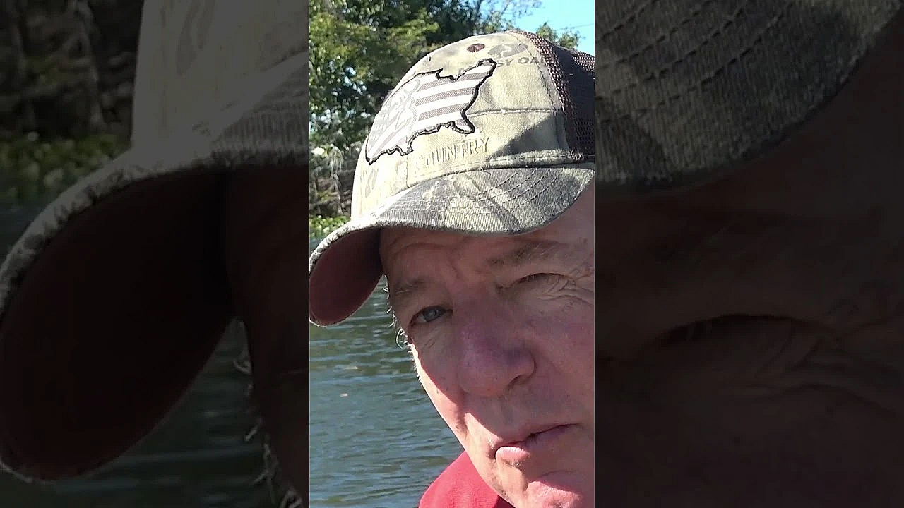 Iguanas - Once Pets. Now Pests.  #fieldsports #hunting #fieldsportsbritain