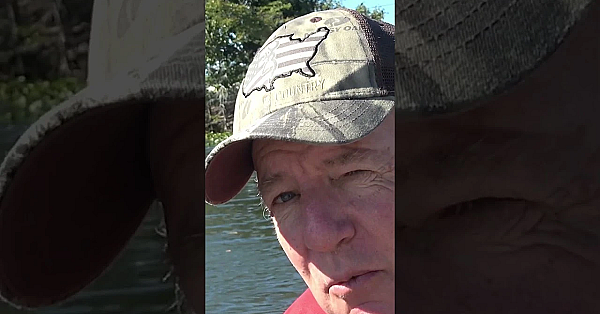 Iguanas - Once Pets. Now Pests.  #fieldsports #hunting #fieldsportsbritain