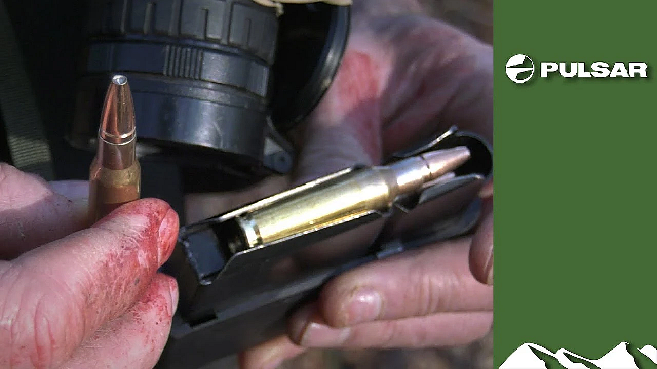 Fallow Doe Shot With Copper