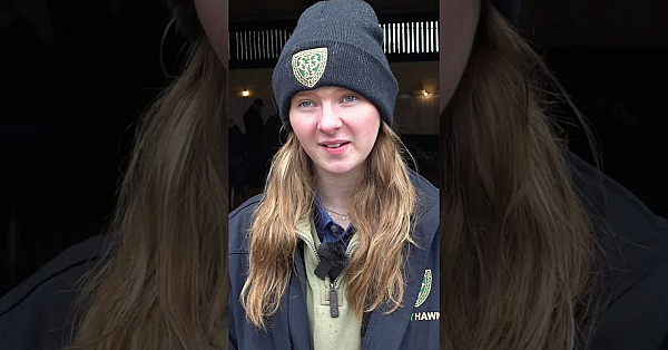 The Hairy Hunter On #fieldsportsbritain #airguns #roebucks #shotguns