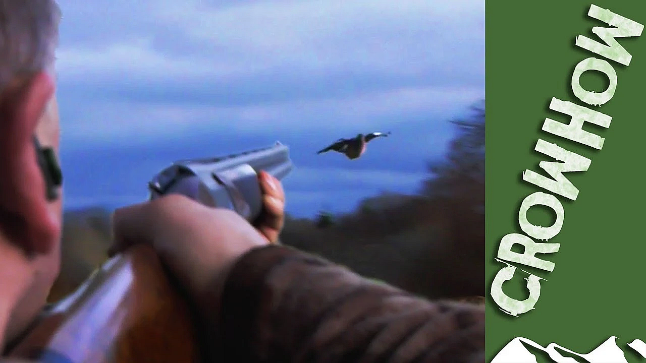 Dry February Pigeon Shoot - It's Crowhow