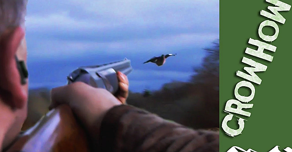 Dry February Pigeon Shoot - It's Crowhow