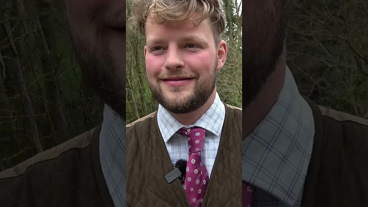 Browning 525 Composite Vs Kemen Guns