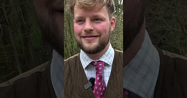 Browning 525 Composite Vs Kemen Guns