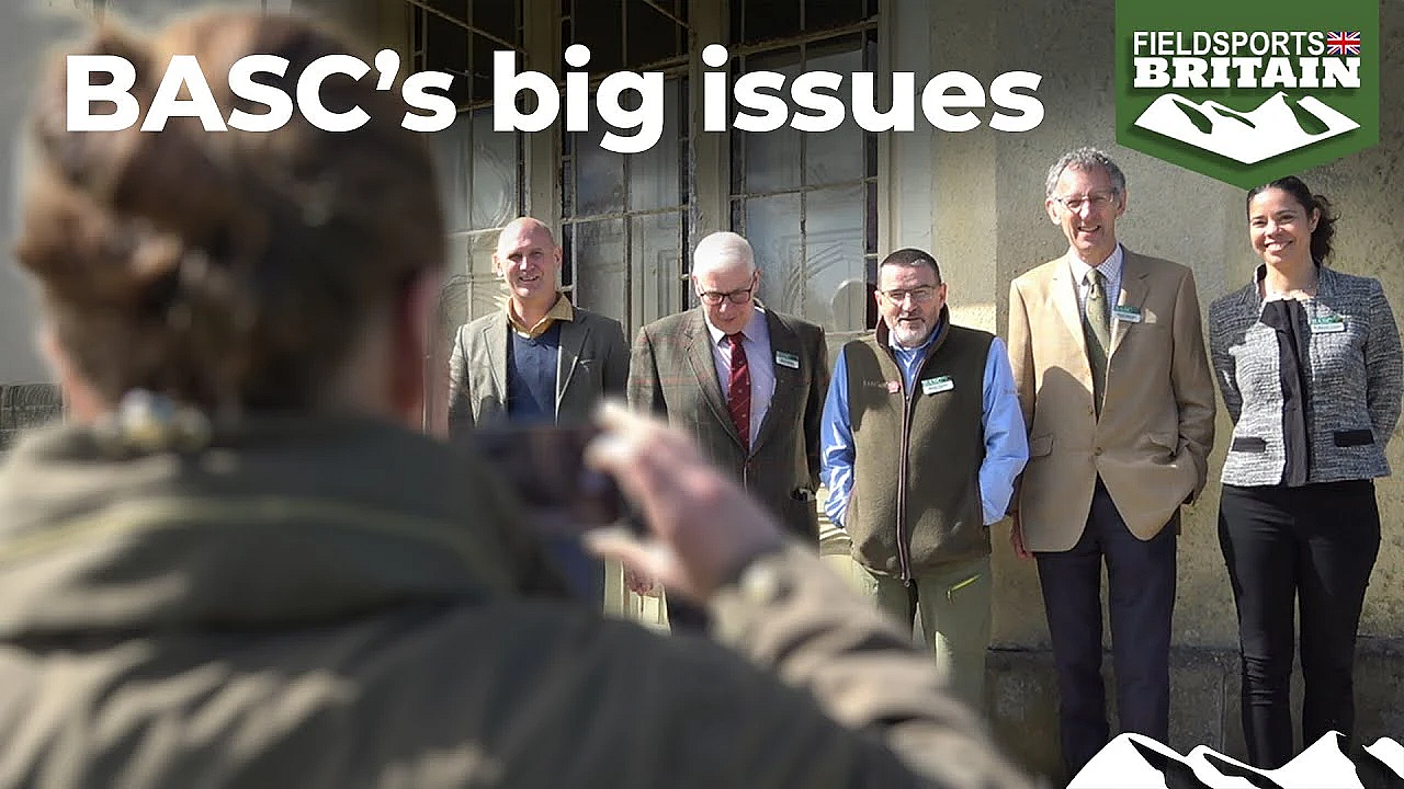 Basc’s Big Issues