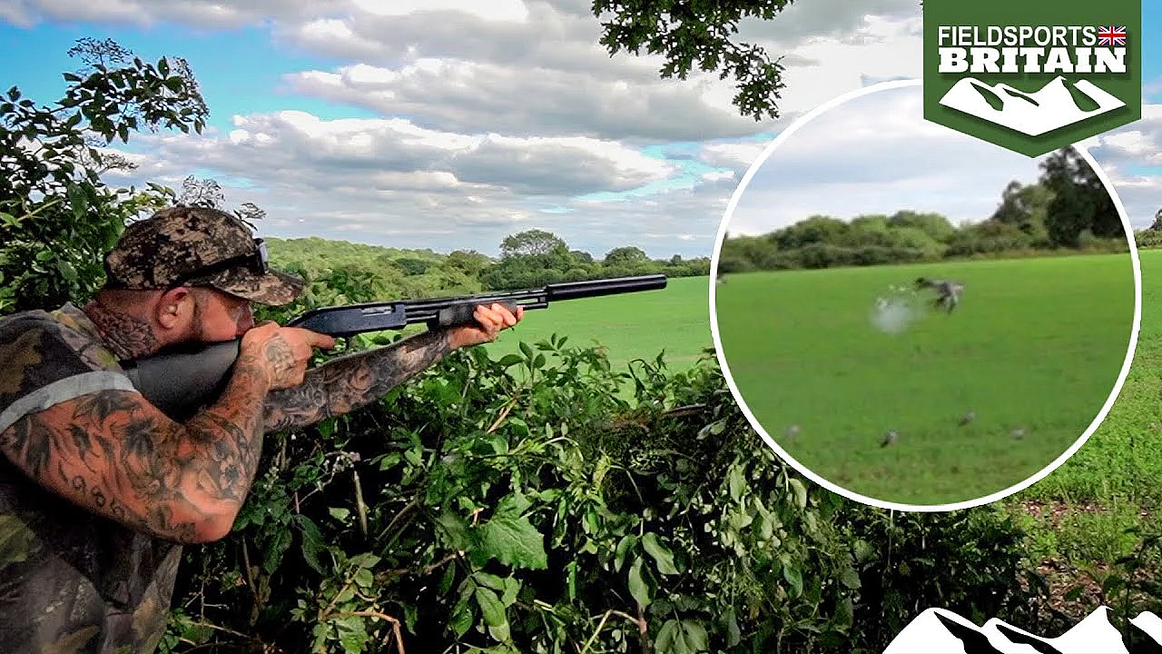 Dan Thor Decoys Pigeons With A Hushpower .410