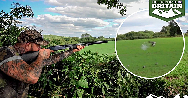 Dan Thor Decoys Pigeons With A Hushpower .410