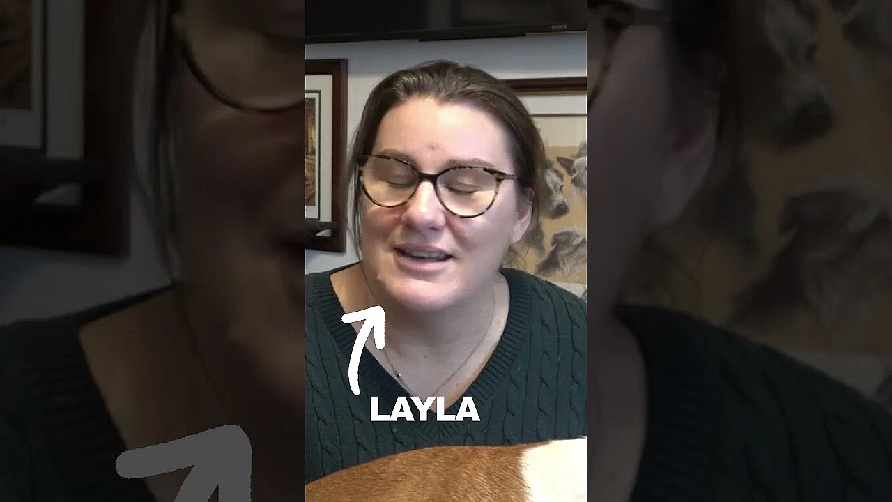 Fieldsports Channel Membership &amp; How It Works . . .