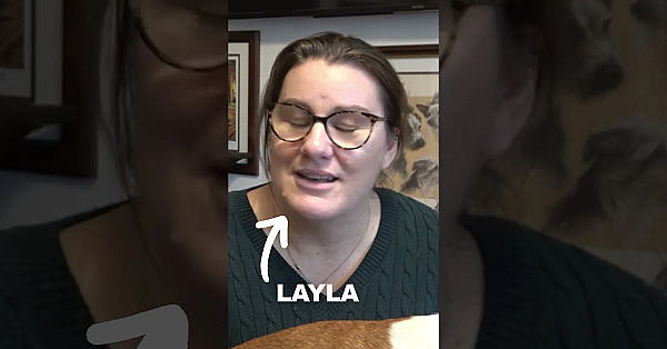 Fieldsports Channel Membership &amp; How It Works . . .