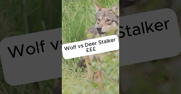 Hunters’ Perspective