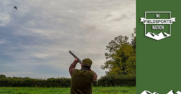 The Accidental Partridge Shoot