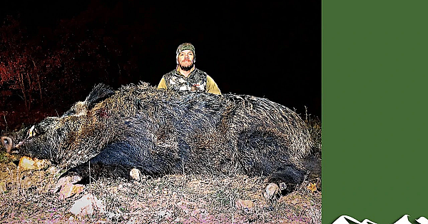 Giant Turkish Wild Boar Hunt