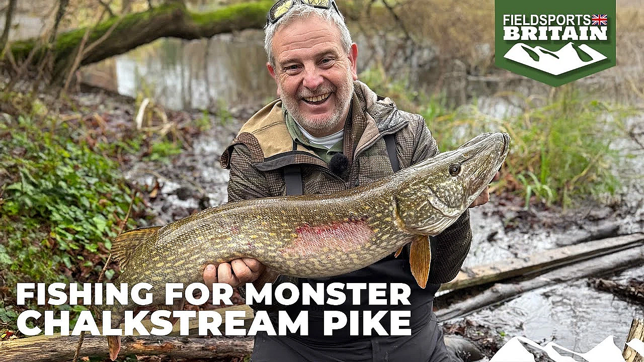 Fishing For Monster Chalkstream Pike