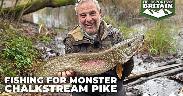 Fishing For Monster Chalkstream Pike