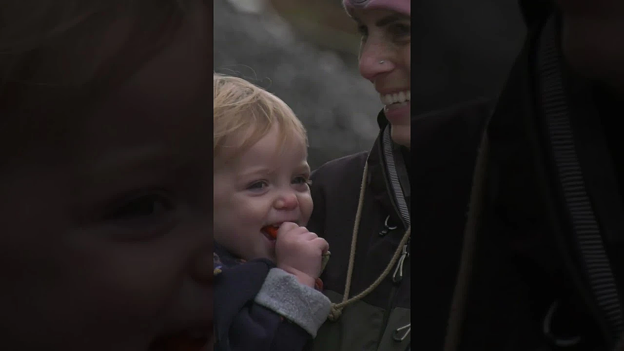 We’re Shooting Massive Welsh Partridges On The Mighty Garth  #fieldsports #welshpartridge