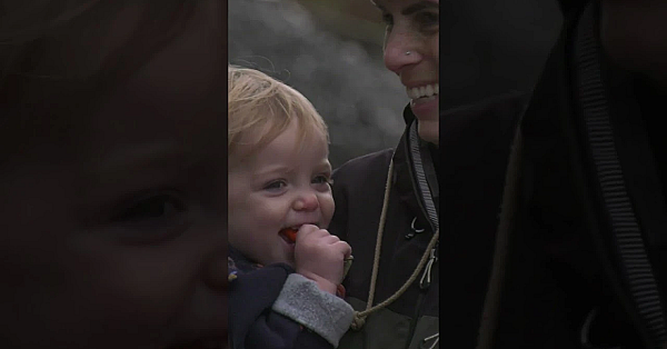 We’re Shooting Massive Welsh Partridges On The Mighty Garth  #fieldsports #welshpartridge