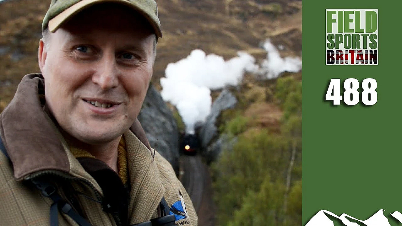 Fieldsports Britain - Scottish Deer On The Line