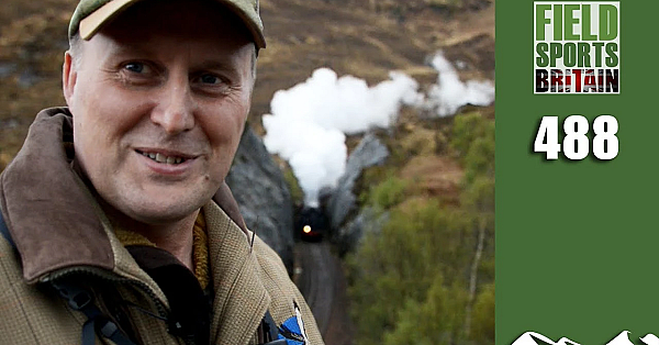 Fieldsports Britain - Scottish Deer On The Line