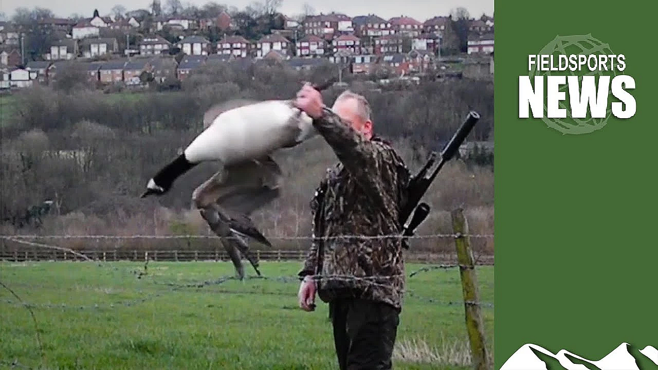 Uk Gun Licence Medical-check Scandal